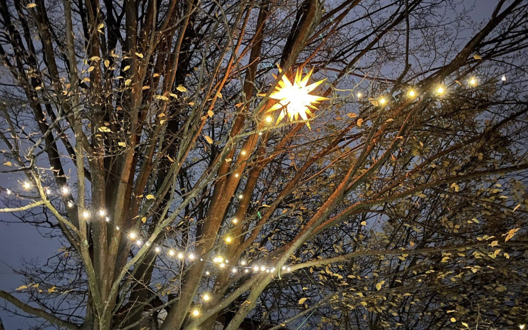 🎄 Bald schon ist Weihnachten!🎄