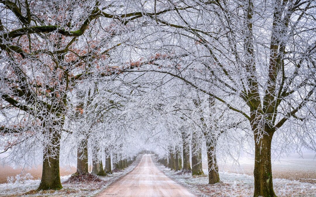 11.01.26 „Winterreise“ musikalisch