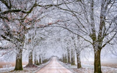 11.01.26 „Winterreise“ musikalisch
